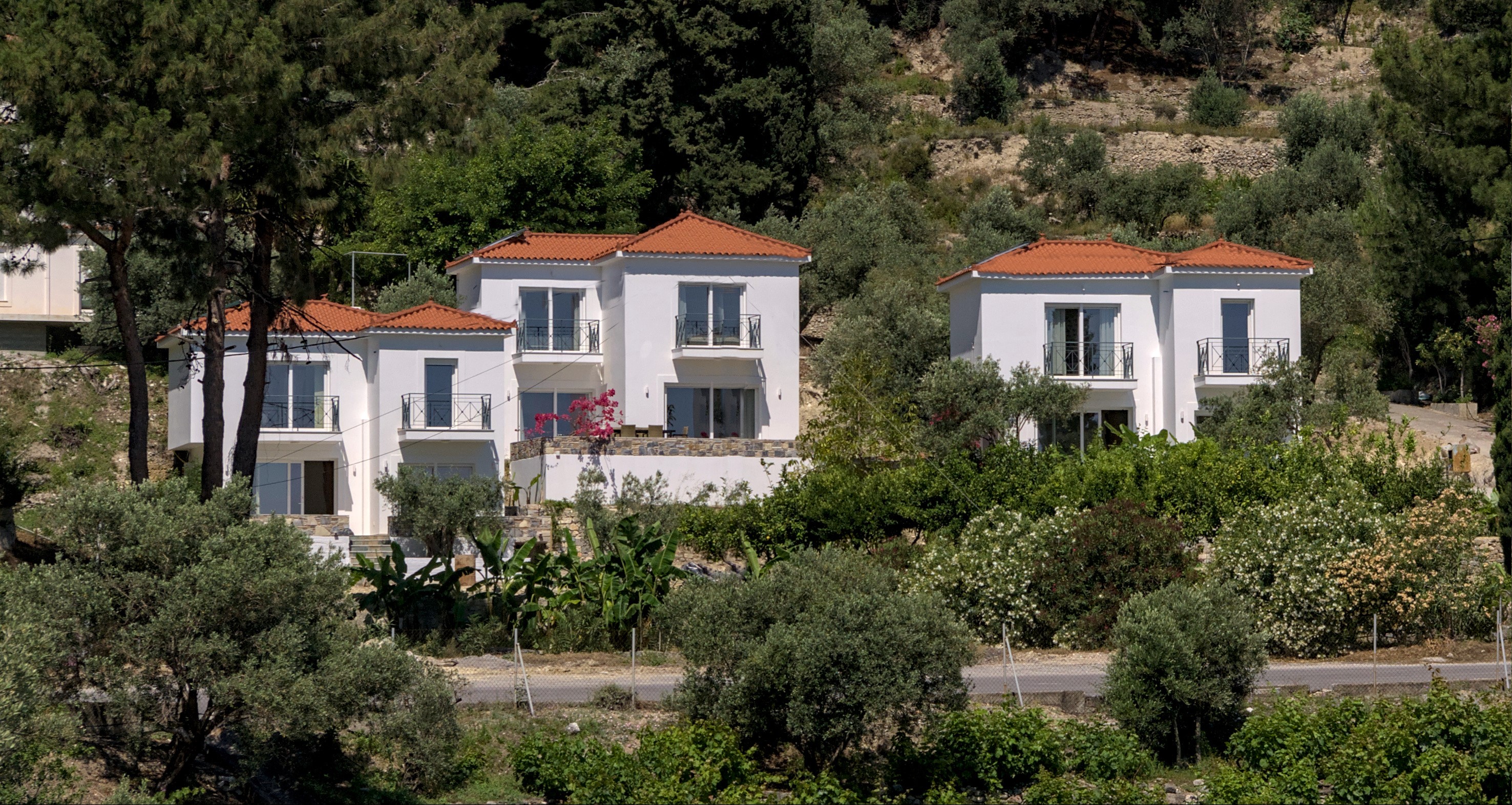 The Residencies